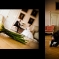 Hochzeit2009_004.jpg